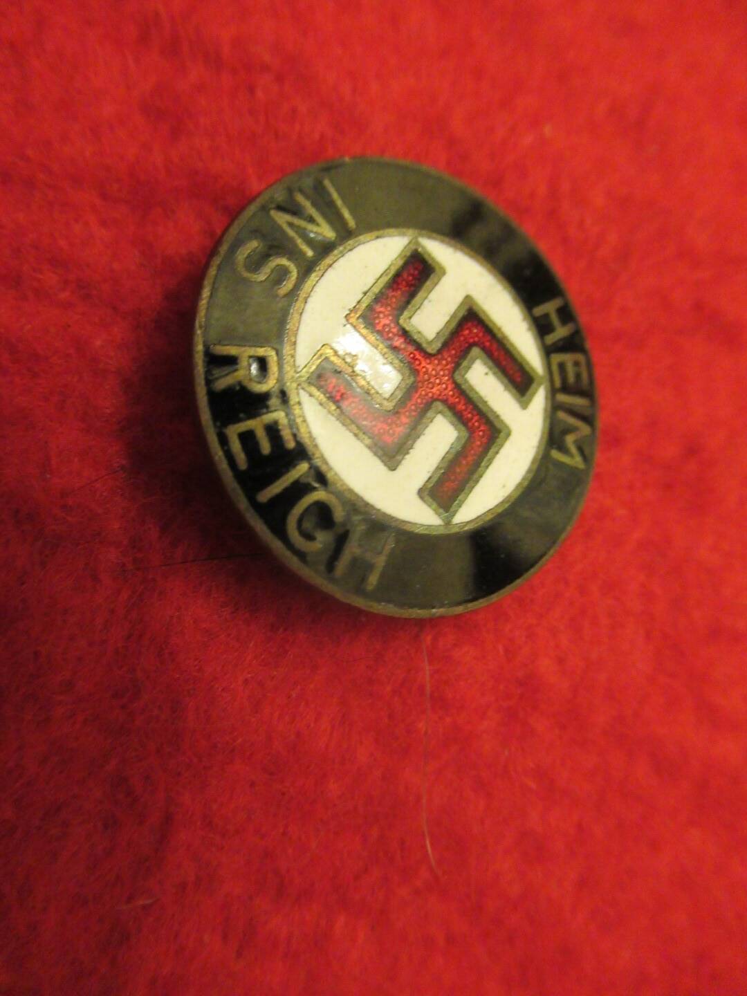 Heim Ins Reich party pin