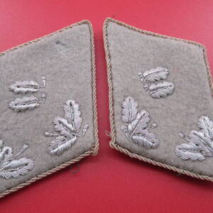 WH Forestry service matching pair of collar tabs for higher rank